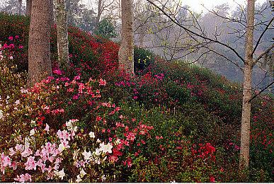 《我和美女有个约会》发售：售价26元 又被美女包围